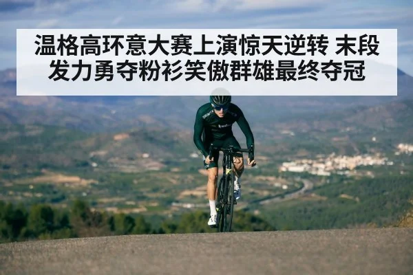 温格高环意大赛上演惊天逆转 末段发力勇夺粉衫笑傲群雄最终夺冠